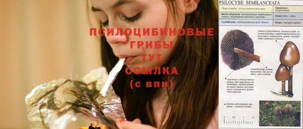 spice Балахна